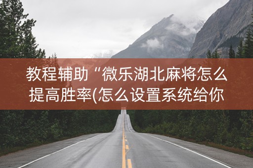 教程辅助“微乐湖北麻将怎么提高胜率(怎么设置系统给你好牌)