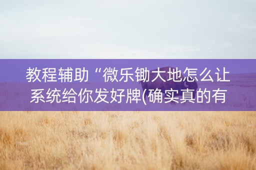 教程辅助“微乐锄大地怎么让系统给你发好牌(确实真的有挂)