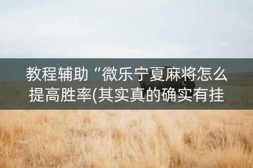 教程辅助“微乐宁夏麻将怎么提高胜率(其实真的确实有挂)