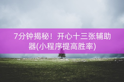 7分钟揭秘！开心十三张辅助器(小程序提高胜率)