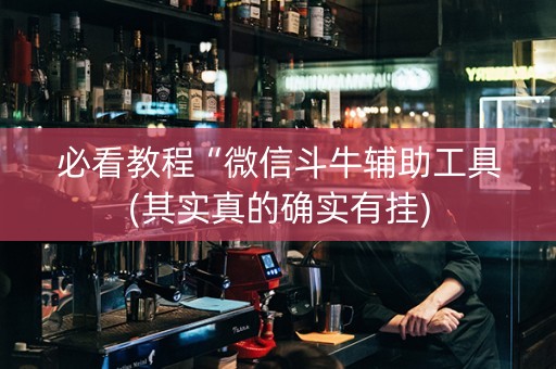 必看教程“微信斗牛辅助工具(其实真的确实有挂)