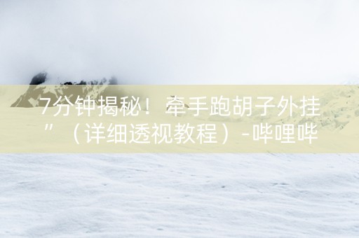 7分钟揭秘！牵手跑胡子外挂”（详细透视教程）-哔哩哔哩