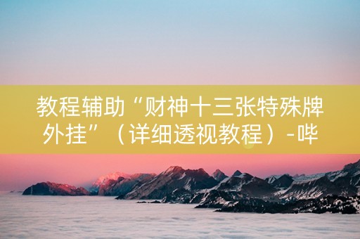 教程辅助“财神十三张特殊牌外挂”（详细透视教程）-哔哩哔哩