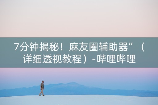 7分钟揭秘！麻友圈辅助器”（详细透视教程）-哔哩哔哩