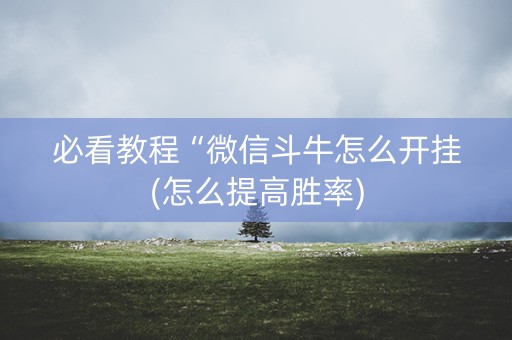 必看教程“微信斗牛怎么开挂(怎么提高胜率)