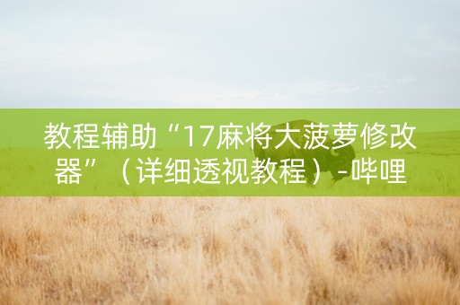 教程辅助“17麻将大菠萝修改器”（详细透视教程）-哔哩哔哩