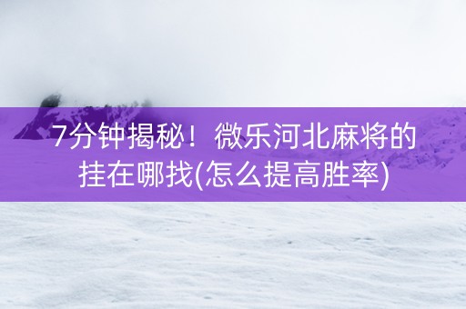 7分钟揭秘！微乐河北麻将的挂在哪找(怎么提高胜率)