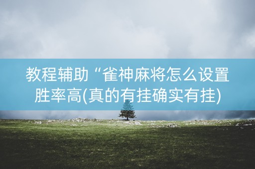教程辅助“雀神麻将怎么设置胜率高(真的有挂确实有挂)