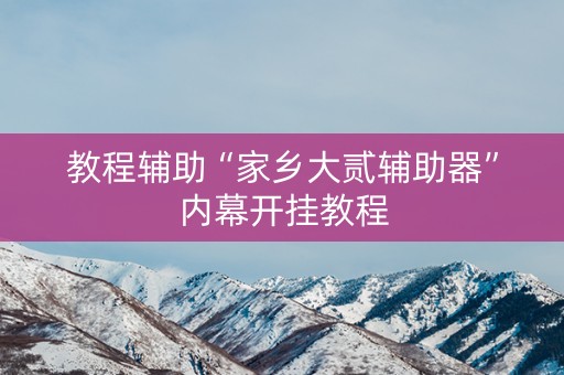 教程辅助“家乡大贰辅助器”内幕开挂教程