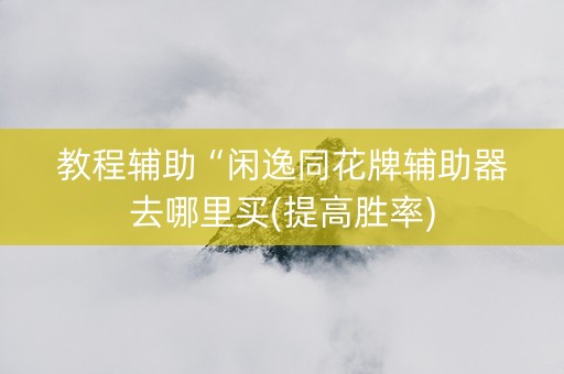 教程辅助“闲逸同花牌辅助器去哪里买(提高胜率)