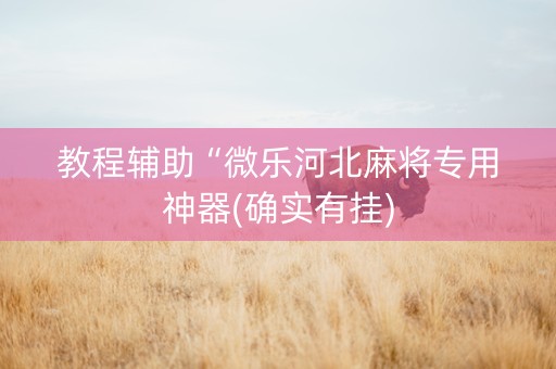 教程辅助“微乐河北麻将专用神器(确实有挂)