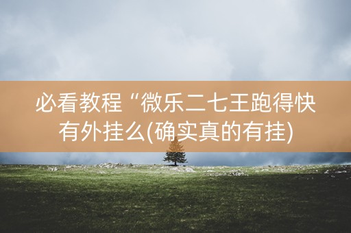 必看教程“微乐二七王跑得快有外挂么(确实真的有挂)