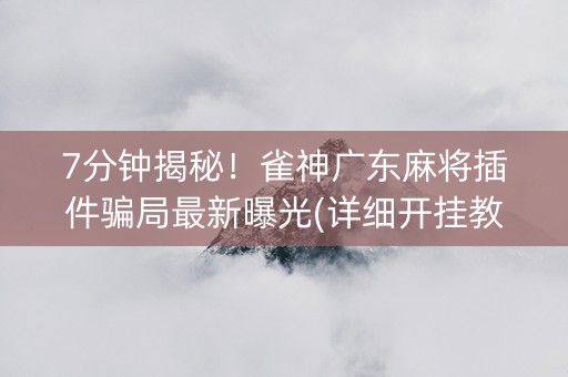 7分钟揭秘！雀神广东麻将插件骗局最新曝光(详细开挂教程)