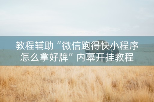 教程辅助“微信跑得快小程序怎么拿好牌”内幕开挂教程