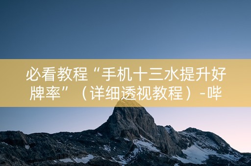 必看教程“手机十三水提升好牌率”（详细透视教程）-哔哩哔哩