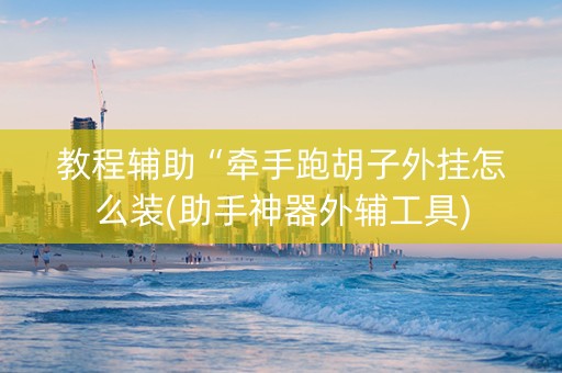 教程辅助“牵手跑胡子外挂怎么装(助手神器外辅工具)