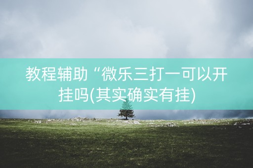 教程辅助“微乐三打一可以开挂吗(其实确实有挂)