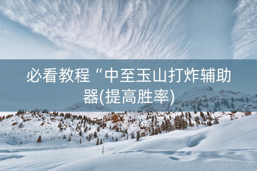 必看教程“中至玉山打炸辅助器(提高胜率)