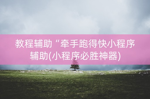 教程辅助“牵手跑得快小程序辅助(小程序必胜神器)