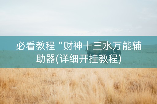 必看教程“财神十三水万能辅助器(详细开挂教程)