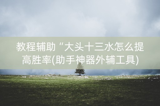 教程辅助“大头十三水怎么提高胜率(助手神器外辅工具)