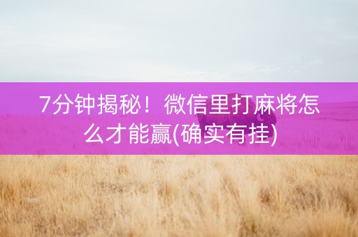 7分钟揭秘！微信里打麻将怎么才能赢(确实有挂)