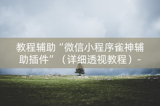 教程辅助“微信小程序雀神辅助插件”（详细透视教程）-哔哩哔哩