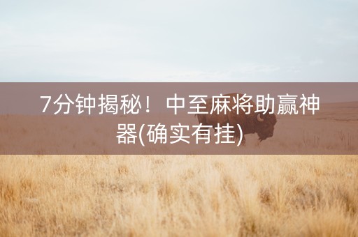 7分钟揭秘！中至麻将助赢神器(确实有挂)