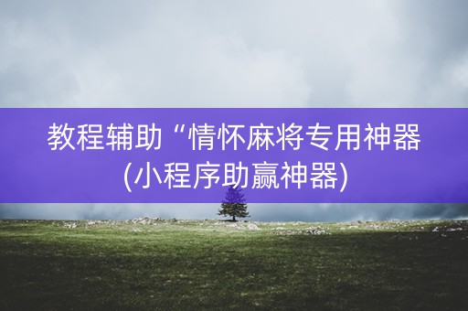 教程辅助“情怀麻将专用神器(小程序助赢神器)