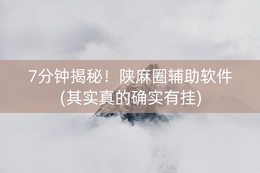 7分钟揭秘！陕麻圈辅助软件(其实真的确实有挂)