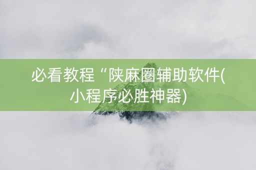 必看教程“陕麻圈辅助软件(小程序必胜神器)