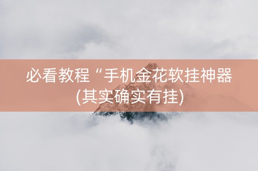 必看教程“手机金花软挂神器(其实确实有挂)