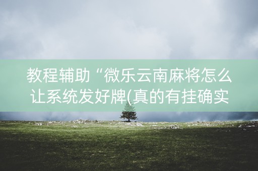 教程辅助“微乐云南麻将怎么让系统发好牌(真的有挂确实有挂)
