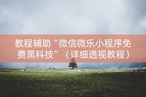 教程辅助“微信微乐小程序免费黑科技”（详细透视教程）-哔哩哔哩