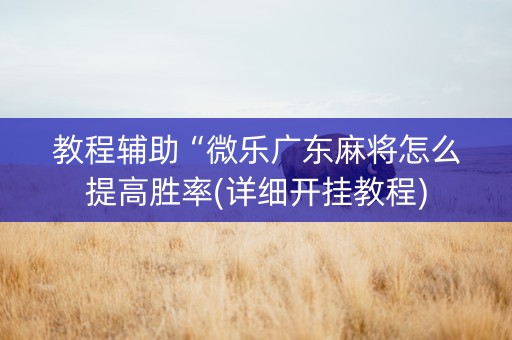 教程辅助“微乐广东麻将怎么提高胜率(详细开挂教程)
