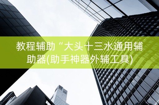 教程辅助“大头十三水通用辅助器(助手神器外辅工具)