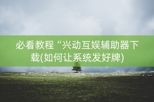 必看教程“兴动互娱辅助器下载(如何让系统发好牌)