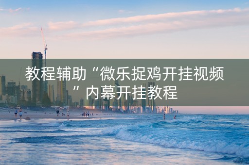 教程辅助“微乐捉鸡开挂视频”内幕开挂教程