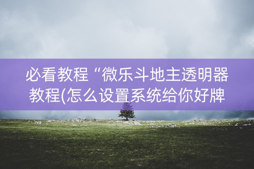 必看教程“微乐斗地主透明器教程(怎么设置系统给你好牌)
