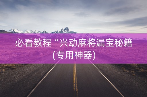 必看教程“兴动麻将漏宝秘籍(专用神器)