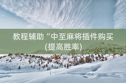 教程辅助“中至麻将插件购买(提高胜率)