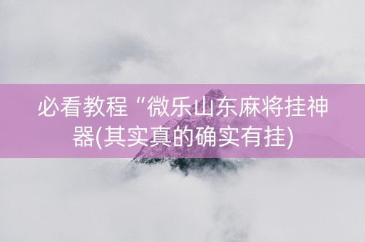 必看教程“微乐山东麻将挂神器(其实真的确实有挂)