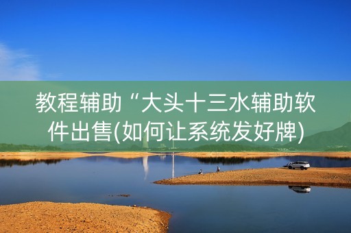 教程辅助“大头十三水辅助软件出售(如何让系统发好牌)