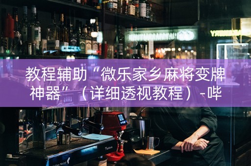 教程辅助“微乐家乡麻将变牌神器”（详细透视教程）-哔哩哔哩