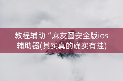 教程辅助“麻友圈安全版ios辅助器(其实真的确实有挂)