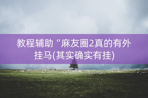 教程辅助“麻友圈2真的有外挂马(其实确实有挂)