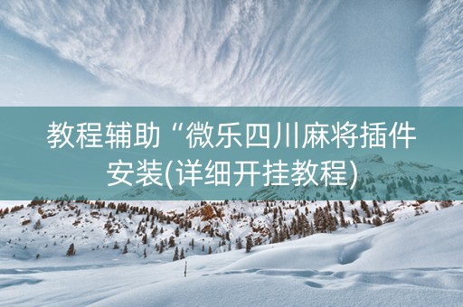 教程辅助“微乐四川麻将插件安装(详细开挂教程)