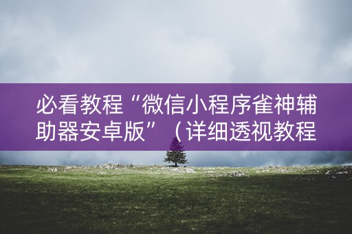 必看教程“微信小程序雀神辅助器安卓版”（详细透视教程）-哔哩哔哩