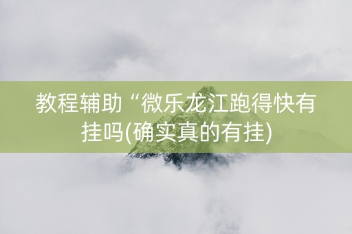 教程辅助“微乐龙江跑得快有挂吗(确实真的有挂)