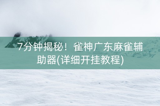 7分钟揭秘！雀神广东麻雀辅助器(详细开挂教程)